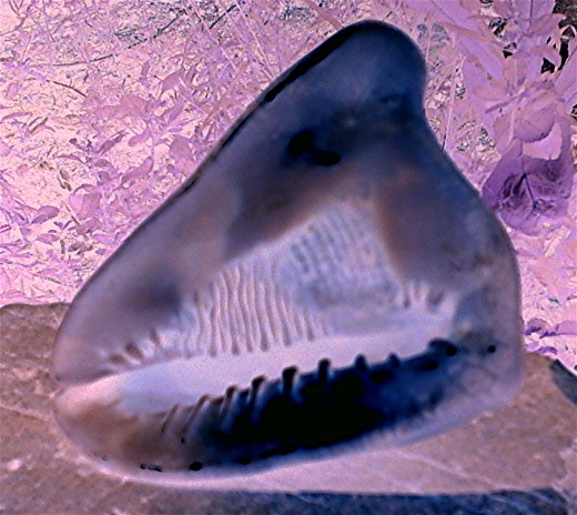 Sea Grotto. Copyright 2007 by White Feather